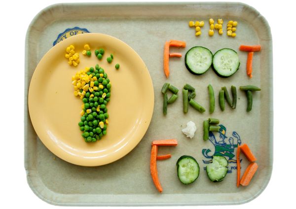 footprint_of_food.jpg