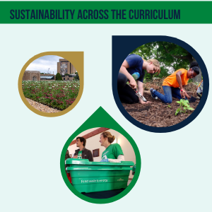 Website Graphic For Sustainability 1