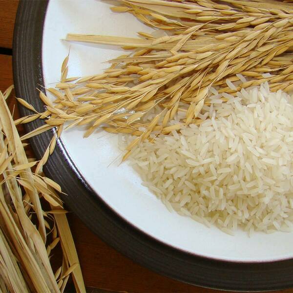 Close up image of rice both in its hulled state and in husks on a white plate.