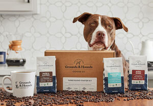 A brown and white dog sits behind a Grounds & Hounds Coffee Co. three-blend starter kit and a mug on a table scattered with coffee beans.