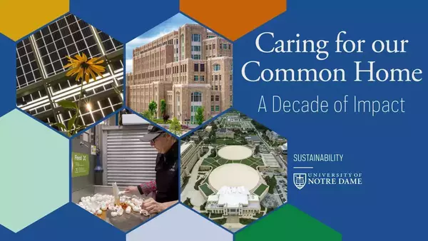 Notre Dame sustainability: Yellow flower, solar panels, Duncan Student Center, person sorting food waste, green roofs.