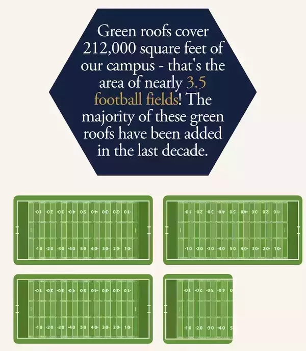 Infographics show green roofs covering 212,000 sq ft, like 3.5 football fields.